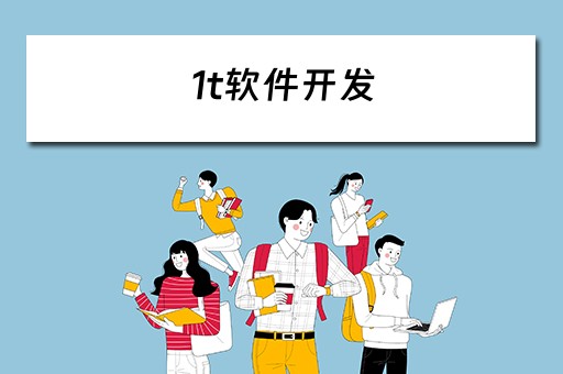 1t软件开发 软件开发一套多少钱