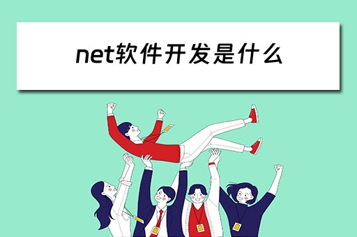 net软件开发是什么（net软件开发平台）