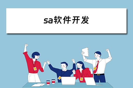 sa软件开发 软件开发saas