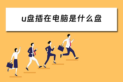 u盘插在电脑是什么盘